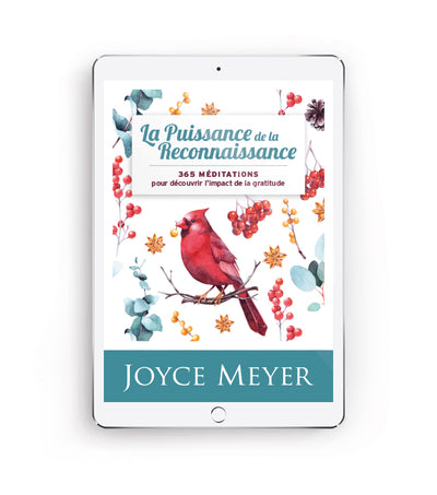 La Puissance de la Reconnaissance - eBook (EPUB)