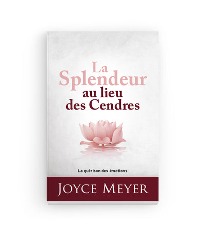 La Splendeur au lieu des Cendres